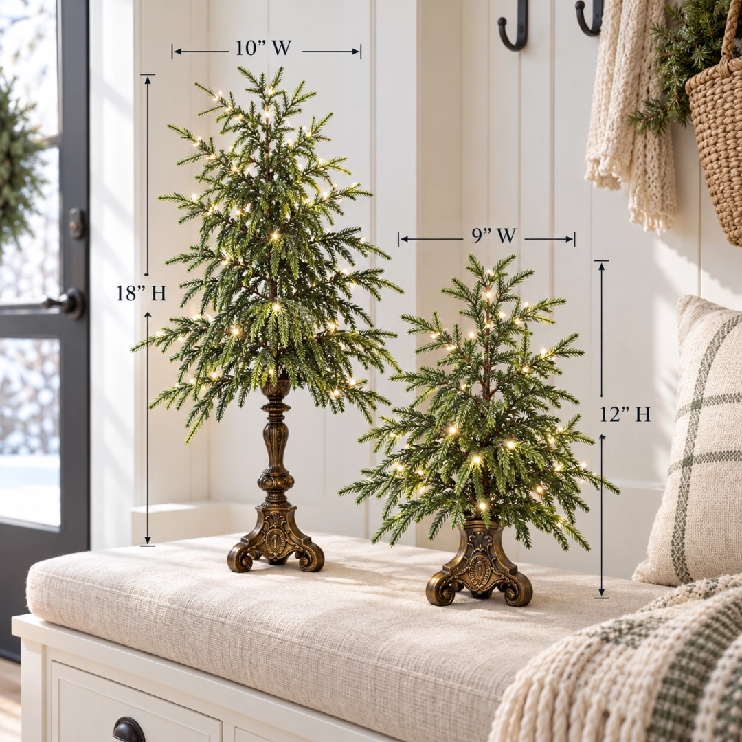 Norfolk pine tree size guide showing large 18 inch by 10 inch and small 12 inch by 9 inch