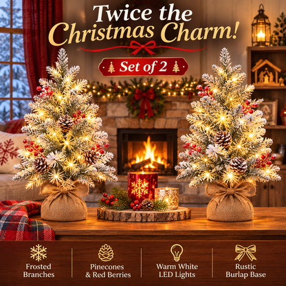 🎄 CozyGlow™ – Set of 2 Pre-Lit Frosted Christmas Trees ✨