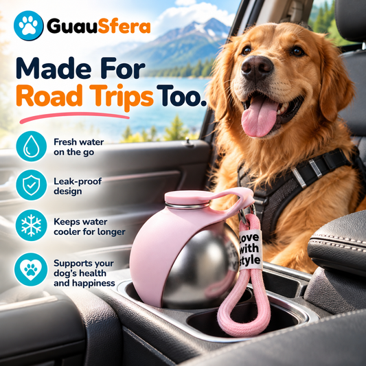 PupSphere™ 2-in-1 Travel Water Bottle & Bowl