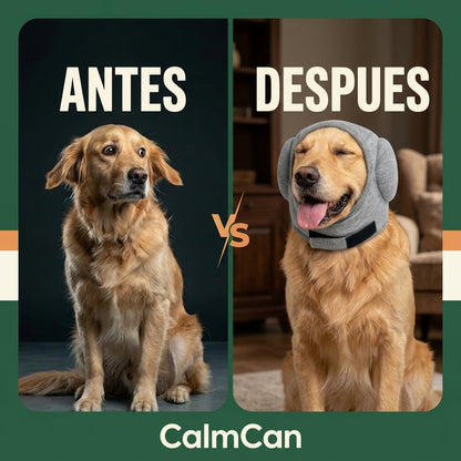 CalmEars™ Dog Noise-Reducing Ear Muffs A Softer Way Through Loud Moments.