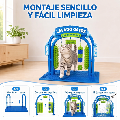 Autolavado de gatos sin agua