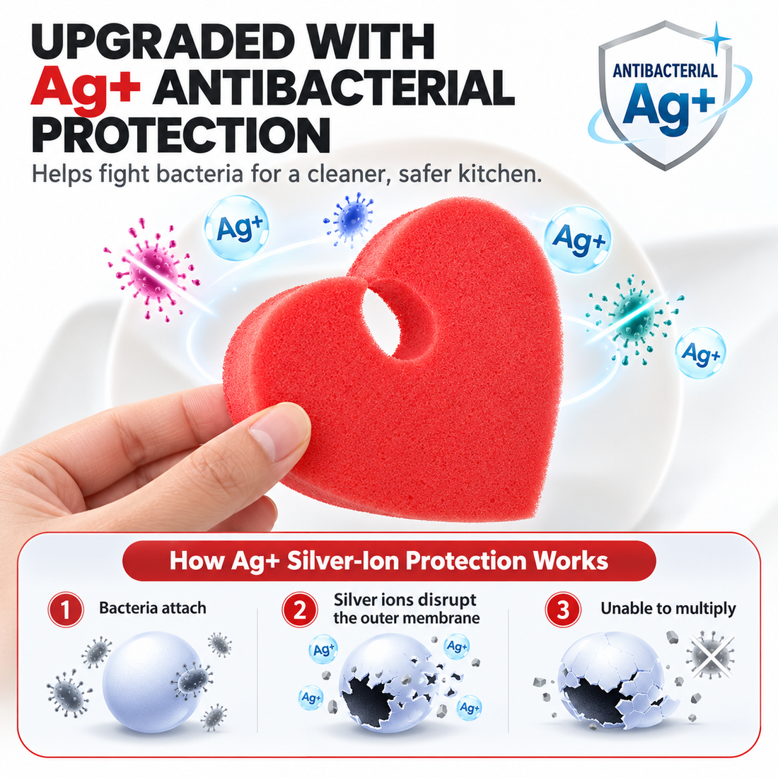 Illustration explaining the proposed Ag plus silver-ion antibacterial mechanism in the dish scrubber