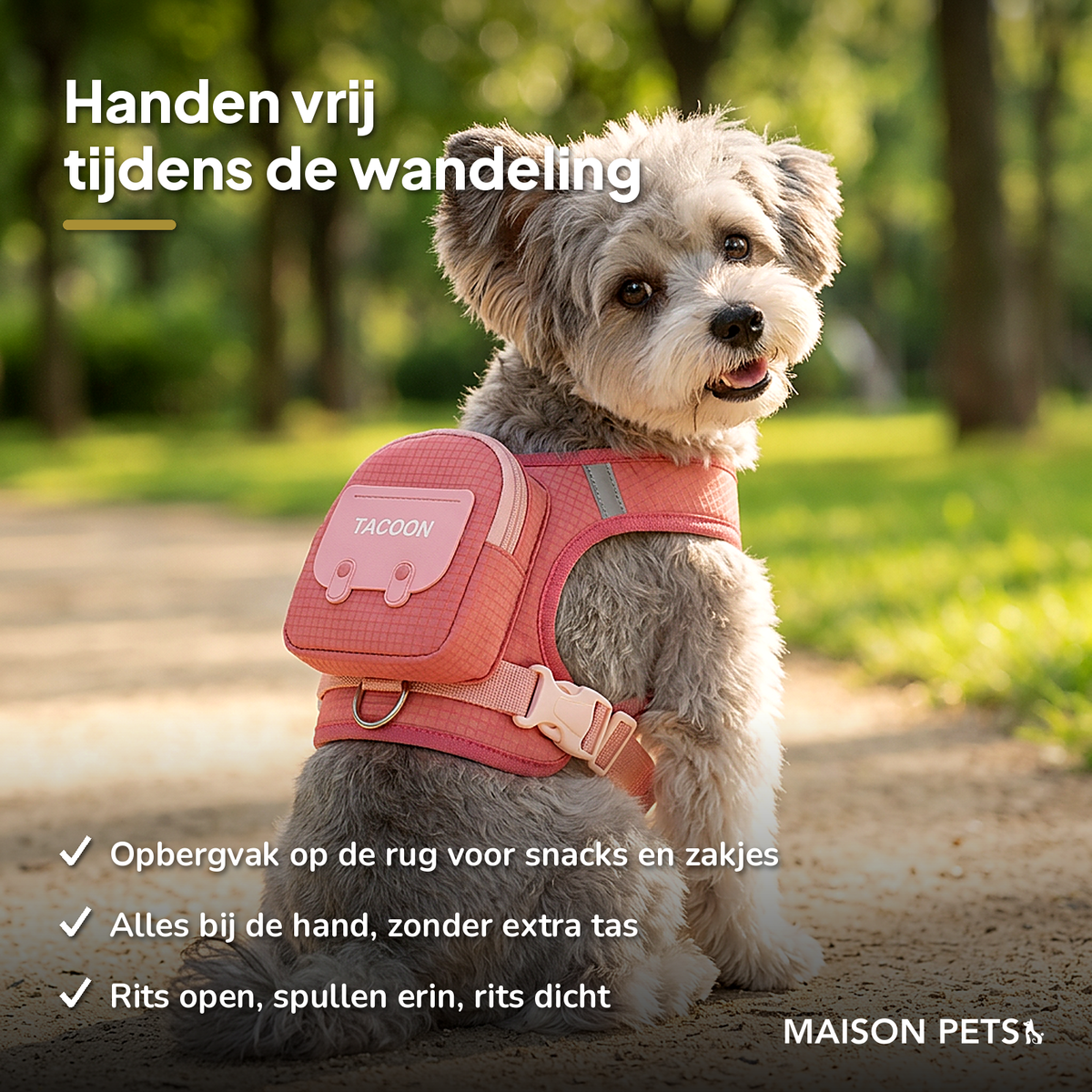 Verstelbaar tuig met opbergvak hond en kat roze — kleine hond draagt roze tuig in park, handen vrij wandelen